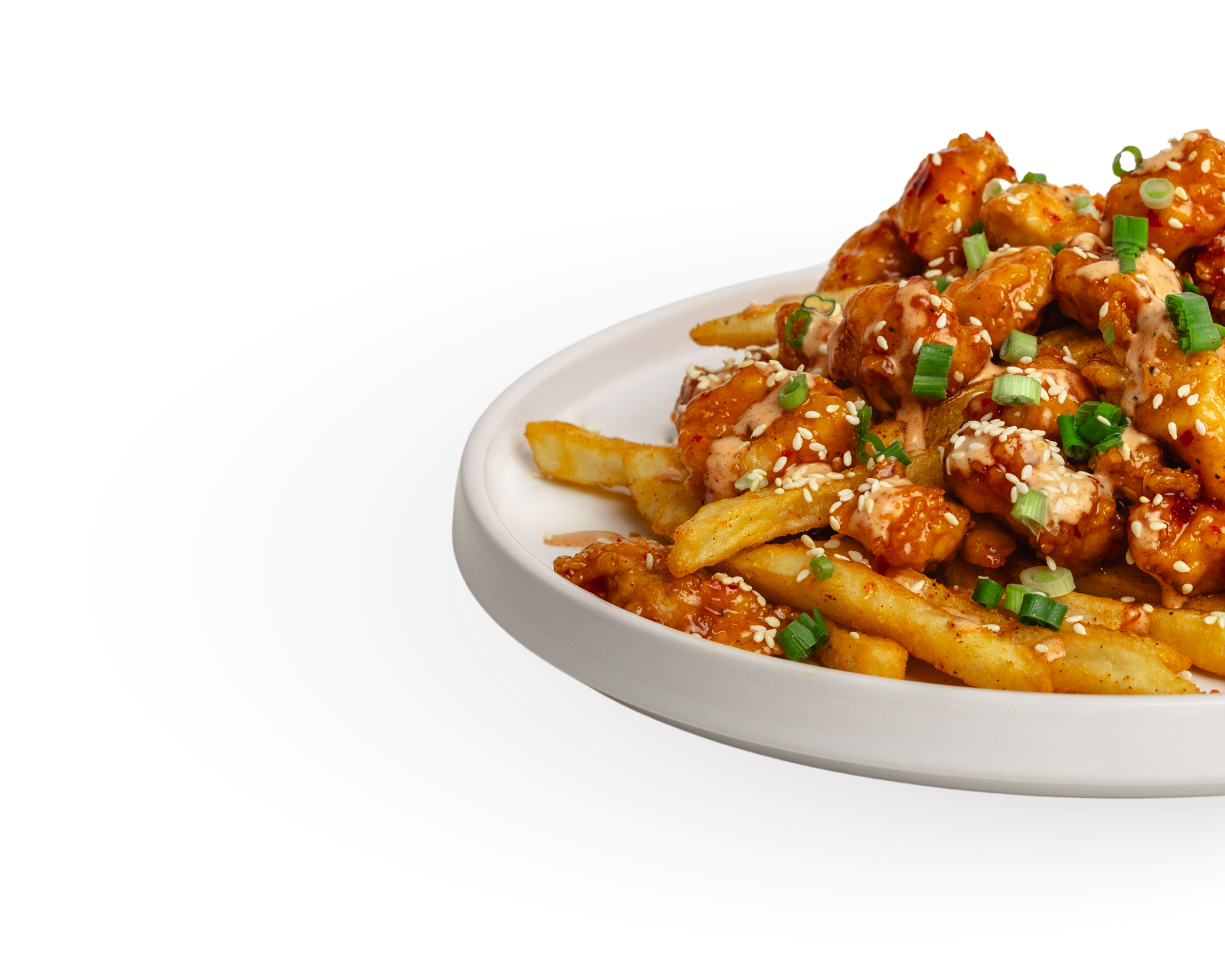 ZECTO FRIES | Order Now, Savor More — Zecto Hot Chicken
